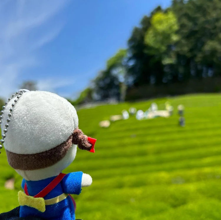 Obubu Tea Farms Cha-chan looking ahead